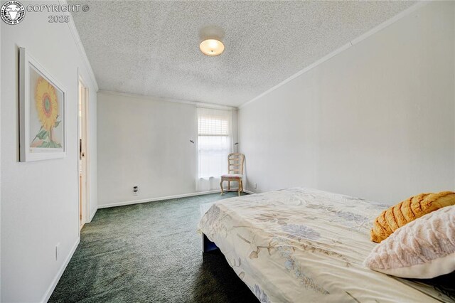 966 County Rd 411, Florissant, CO 80816 - photo 36