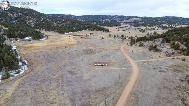 966 County Rd 411, Florissant, CO 80816 - photo 44