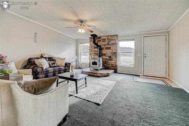966 County Rd 411, Florissant, CO 80816 - photo 10