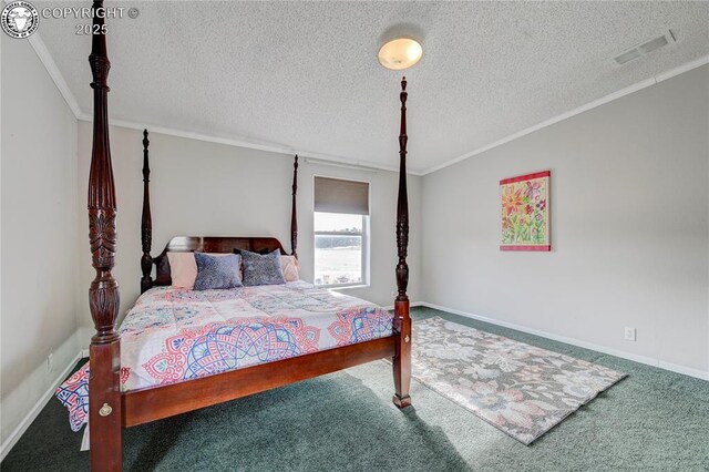 966 County Rd 411, Florissant, CO 80816 - photo 16