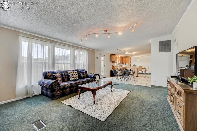 966 County Rd 411, Florissant, CO 80816 - photo 31