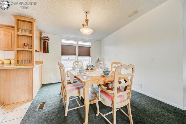 966 County Rd 411, Florissant, CO 80816 - photo 22