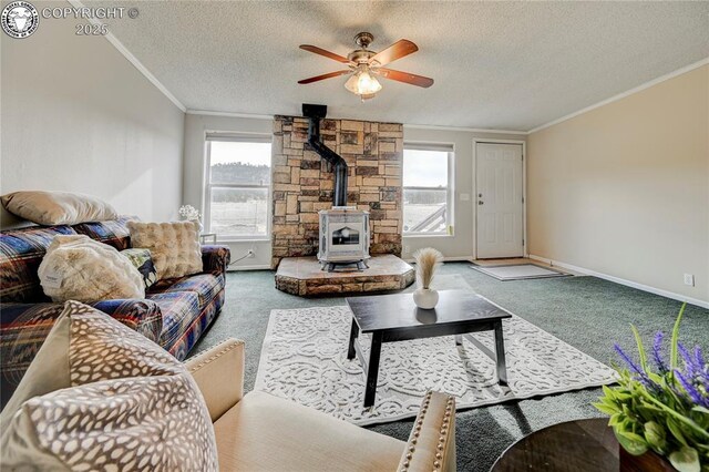 966 County Rd 411, Florissant, CO 80816 - photo 11