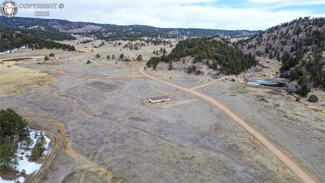 966 County Rd 411, Florissant, CO 80816 - photo 45