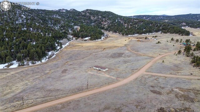 966 County Rd 411, Florissant, CO 80816 - photo 43