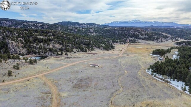 966 County Rd 411, Florissant, CO 80816 - photo 47