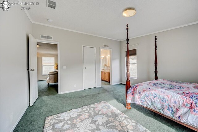 966 County Rd 411, Florissant, CO 80816 - photo 15