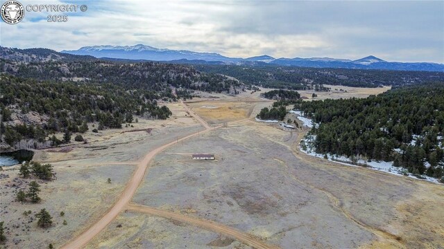 966 County Rd 411, Florissant, CO 80816 - photo 48