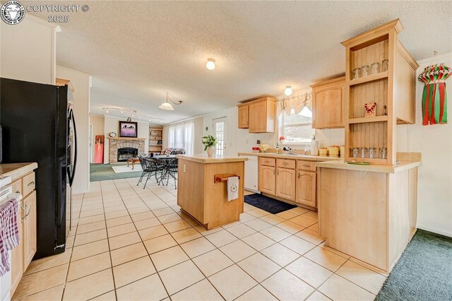966 County Rd 411, Florissant, CO 80816 - photo 23