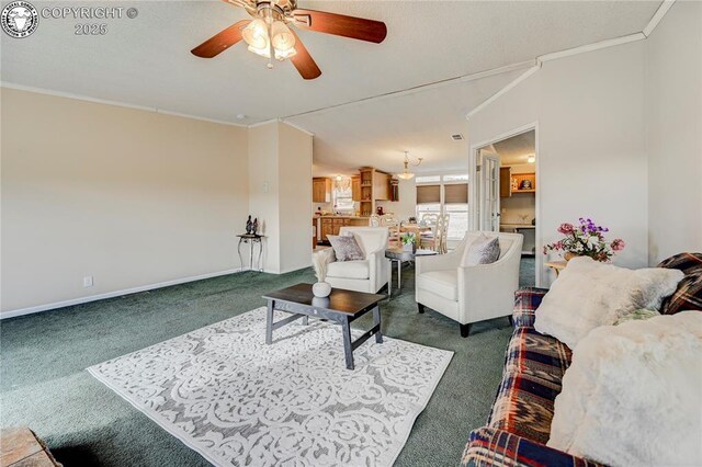 966 County Rd 411, Florissant, CO 80816 - photo 9