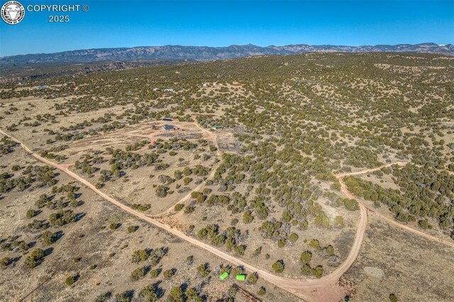 drone / aerial view featuring a mountain view