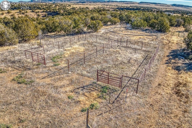 birds eye view of property featuring a rural view