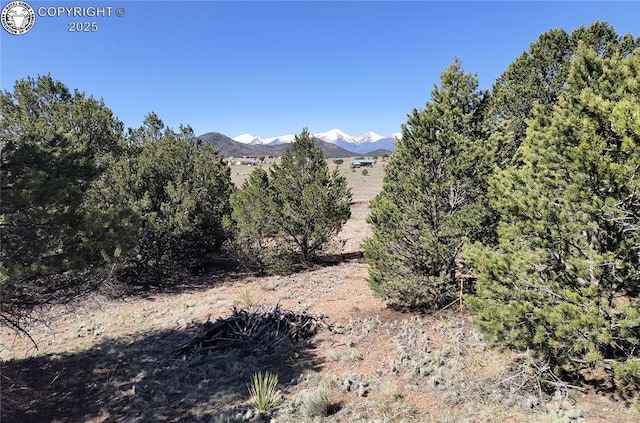 TBD 18th Trail, Cotopaxi, CO 81223