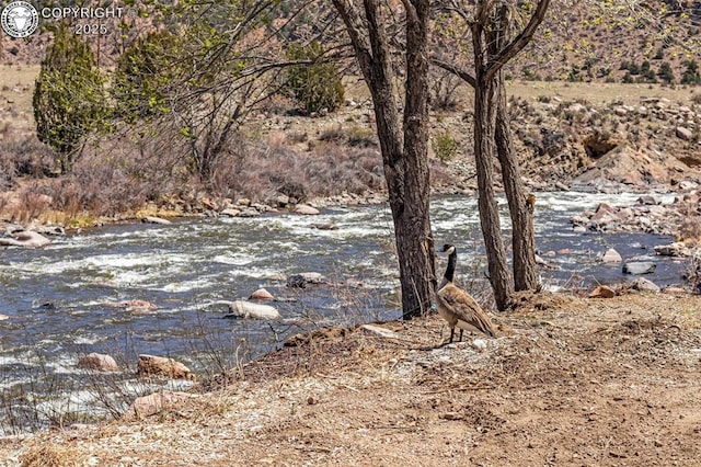 view of nature with a water view