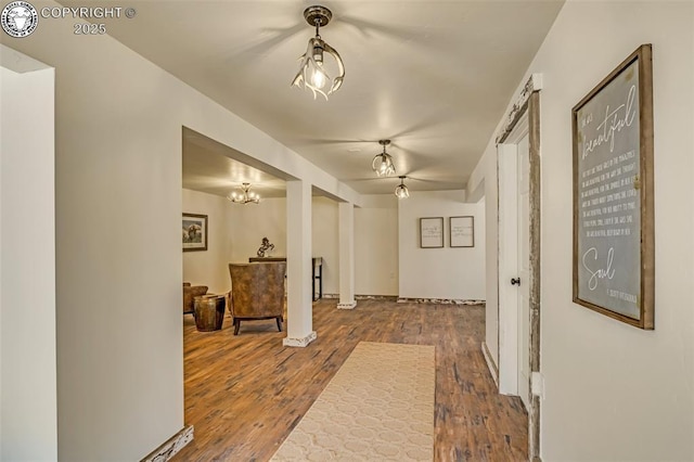 hallway with dark wood finished floors