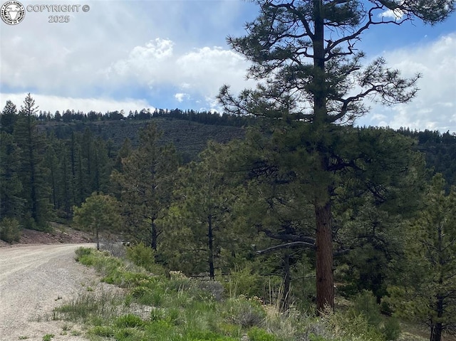 101 Rail Way, Fairplay, CO 80440 - photo 39
