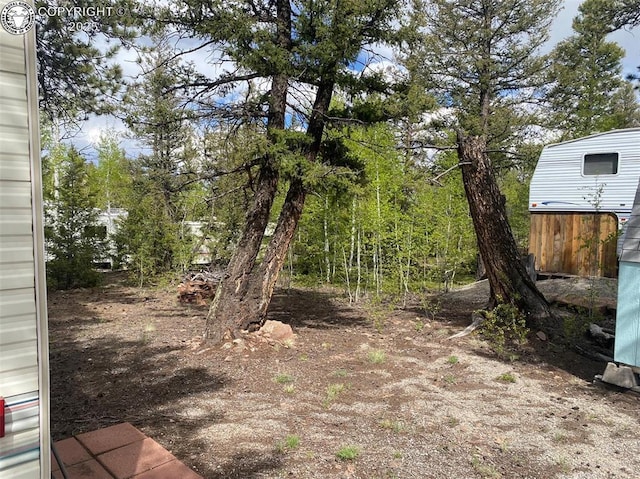 101 Rail Way, Fairplay, CO 80440 - photo 6