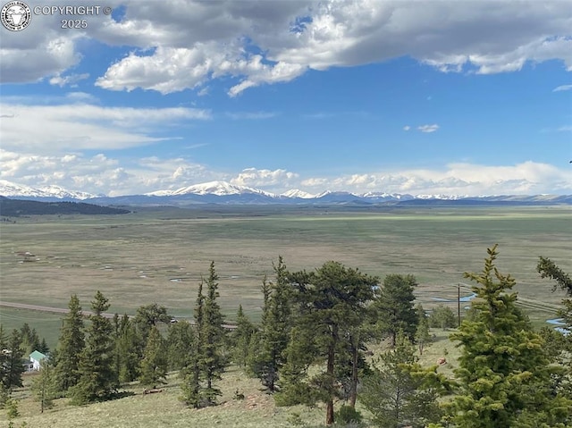 101 Rail Way, Fairplay, CO 80440 - photo 37
