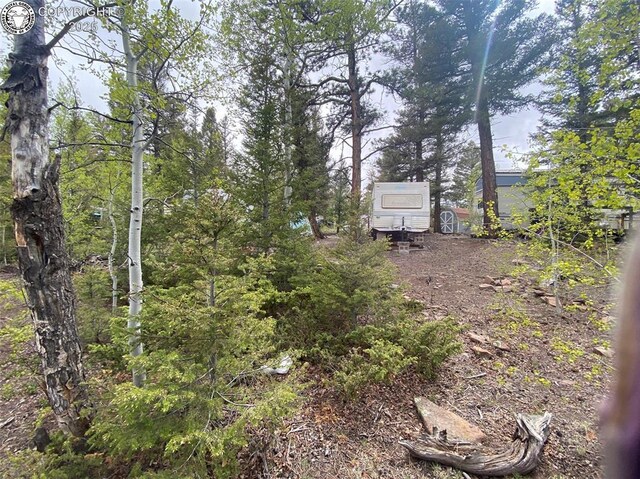 101 Rail Way, Fairplay, CO 80440 - photo 3