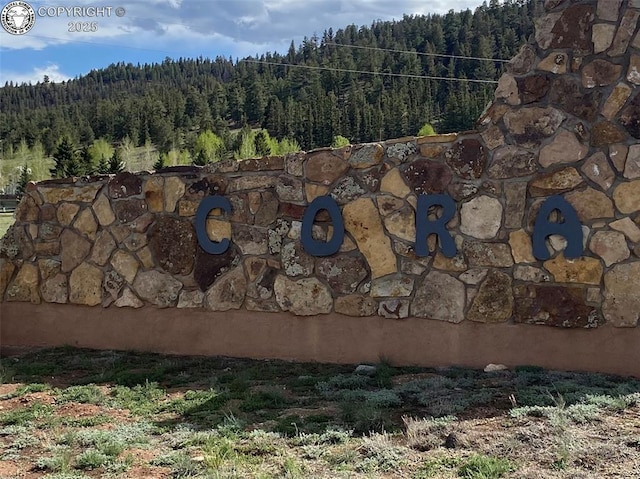 101 Rail Way, Fairplay, CO 80440 - photo 49