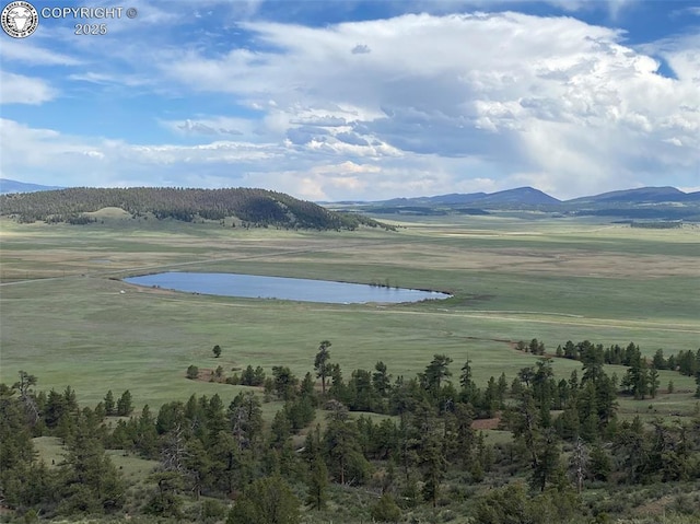 101 Rail Way, Fairplay, CO 80440 - photo 34