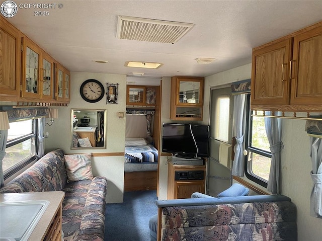 101 Rail Way, Fairplay, CO 80440 - photo 12