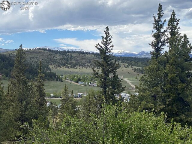 101 Rail Way, Fairplay, CO 80440 - photo 38