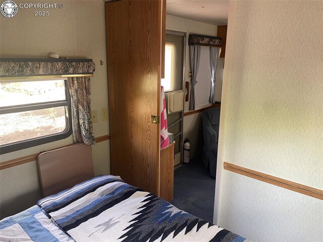 101 Rail Way, Fairplay, CO 80440 - photo 11