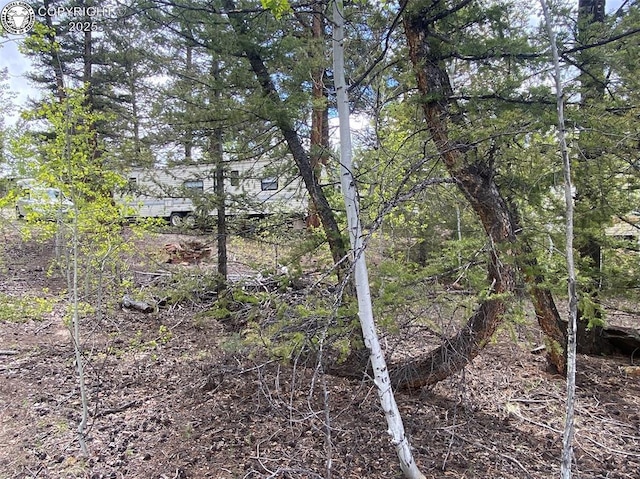 101 Rail Way, Fairplay, CO 80440 - photo 4