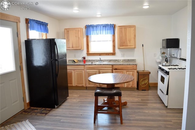 686 County Road 297, Wetmore, CO 81253 - photo 43