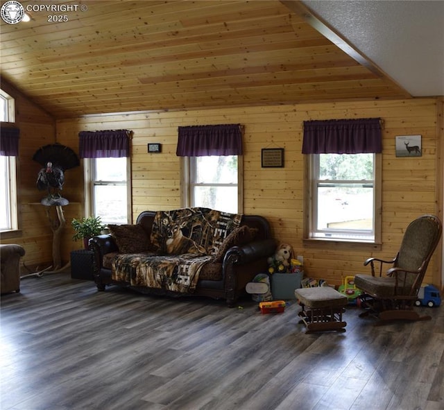 686 County Road 297, Wetmore, CO 81253 - photo 12