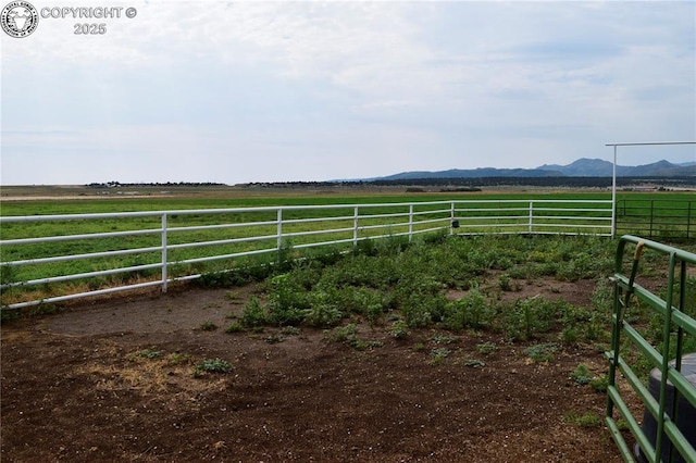 686 County Road 297, Wetmore, CO 81253 - photo 47