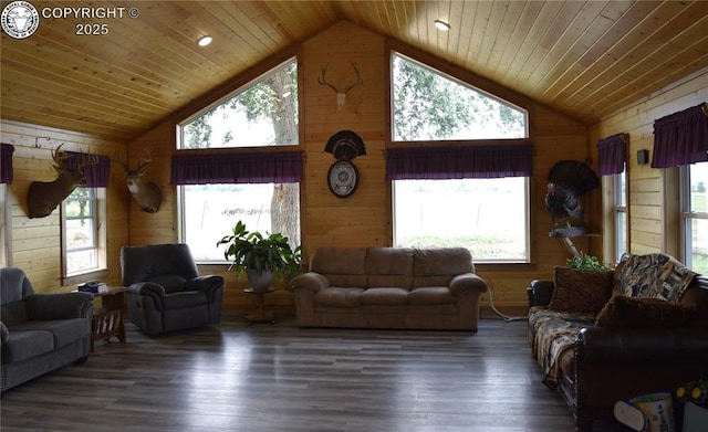 686 County Road 297, Wetmore, CO 81253 - photo 11