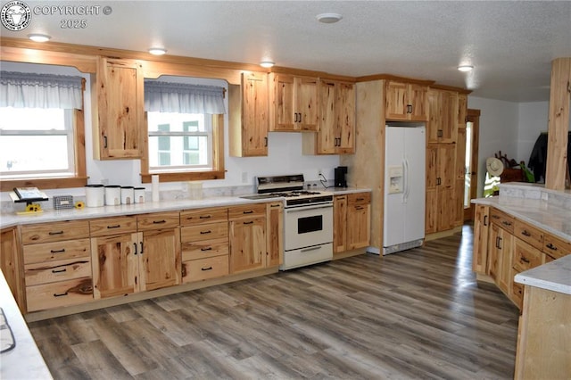 686 County Road 297, Wetmore, CO 81253 - photo 15