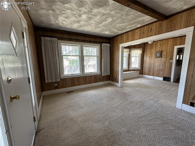 720 Whipple Ave, Canon City, CO 81212 - spare room featuring wood walls and light colored carpet