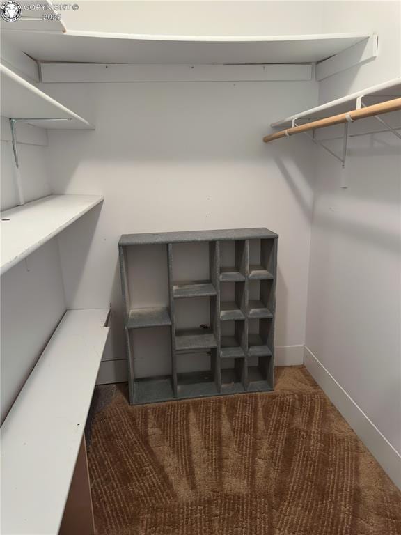720 Whipple Ave, Canon City, CO 81212 - spacious closet featuring carpet floors