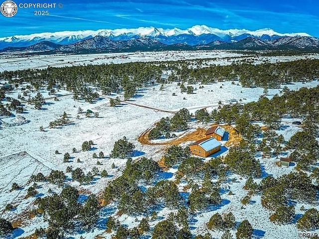 1662 20th Trl, Cotopaxi, CO 81223 - photo 31