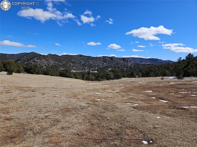 269 Canyon Ter, Canon City, CO 81212 - photo 36