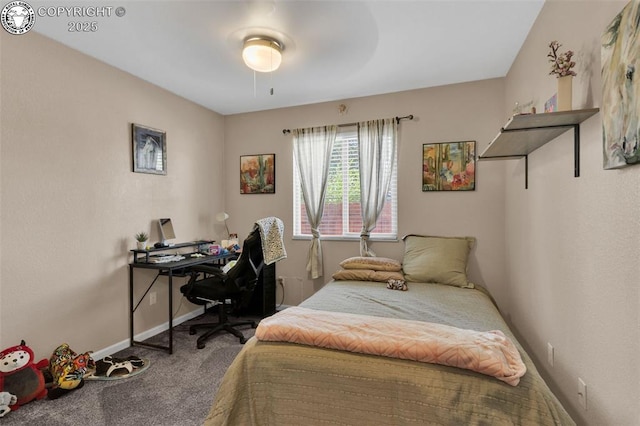 221 Del Rey Ave, Canon City, CO 81212 - photo 20