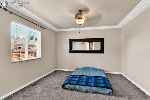 221 Del Rey Ave, Canon City, CO 81212 - photo 17