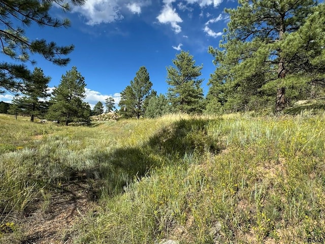 view of landscape