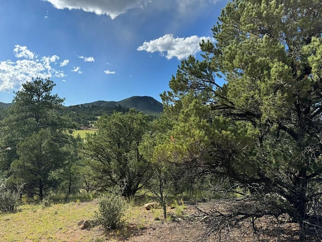 view of mountain feature