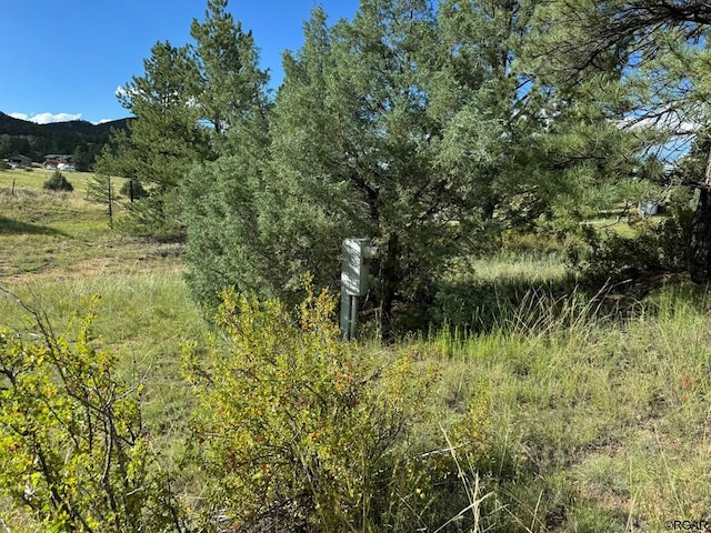 view of local wilderness featuring a mountain view