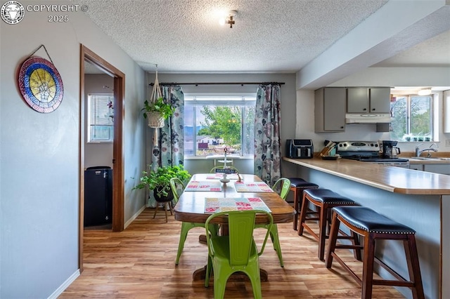 707 Oxford Ct, Canon City, CO 81212 - photo 6