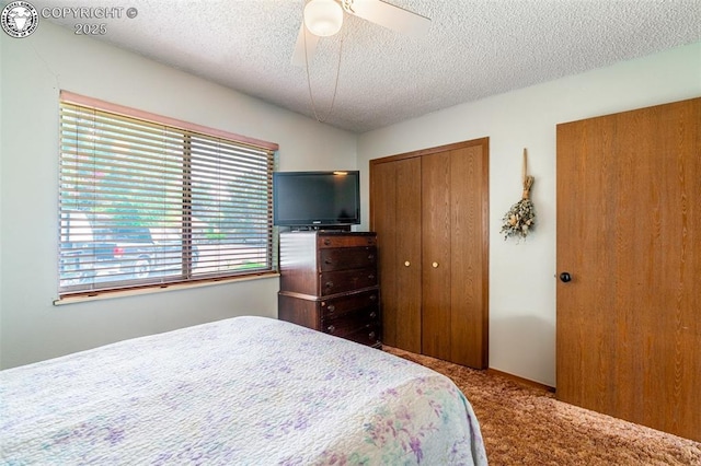 707 Oxford Ct, Canon City, CO 81212 - photo 11