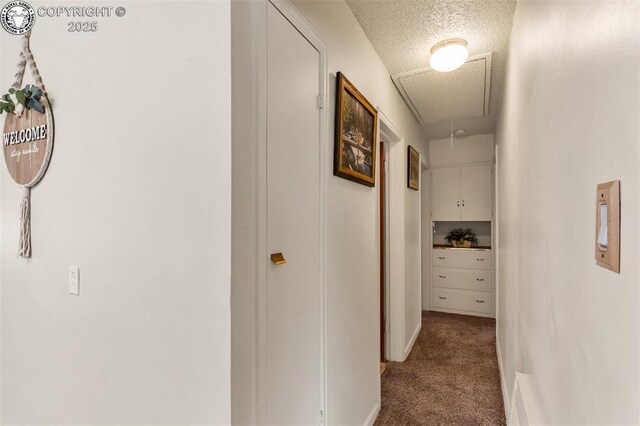 850 Grand Ave, Canon City, CO 81212 - photo 16