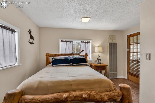 850 Grand Ave, Canon City, CO 81212 - photo 25