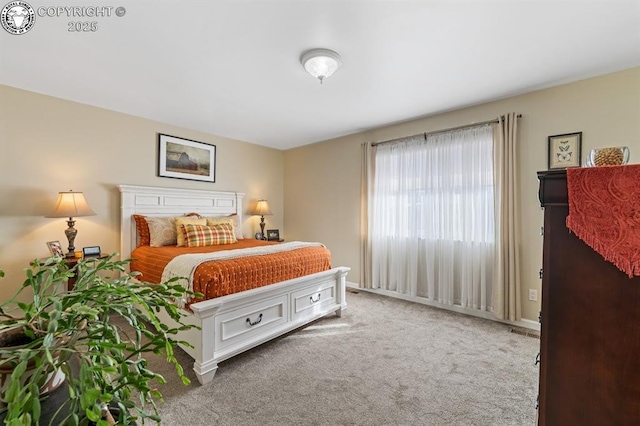 view of carpeted bedroom