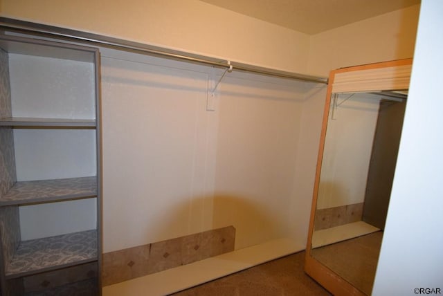 view of walk in closet