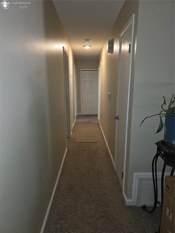 601 Field Ave, Canon City, CO 81212 - photo 9